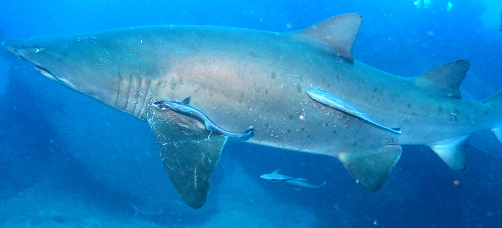 bfb2ddd9-6053-4508-bd4e-d10f095ec6d3