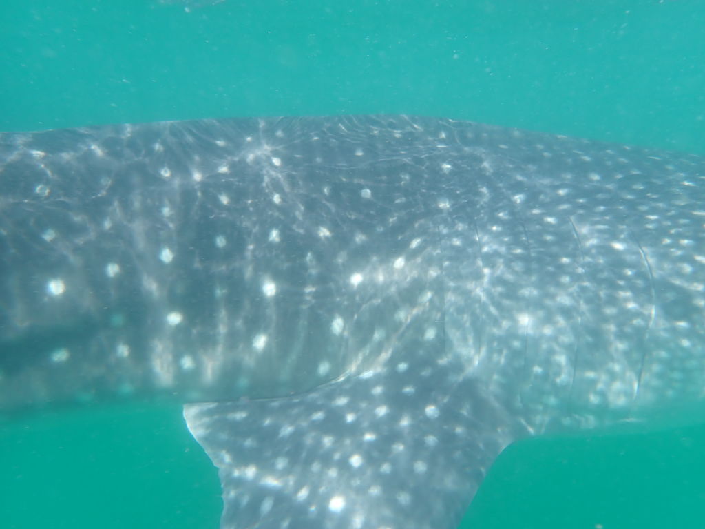 57c65923-73e0-4fb1-8c40-84686a8e3ea1