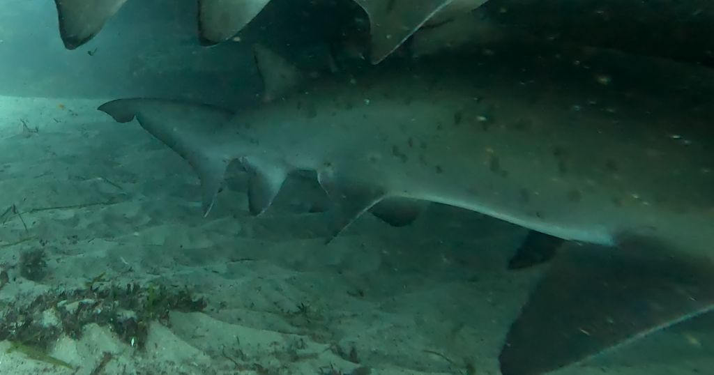 ed5442a3-3245-4d30-90c3-9478c40ab393