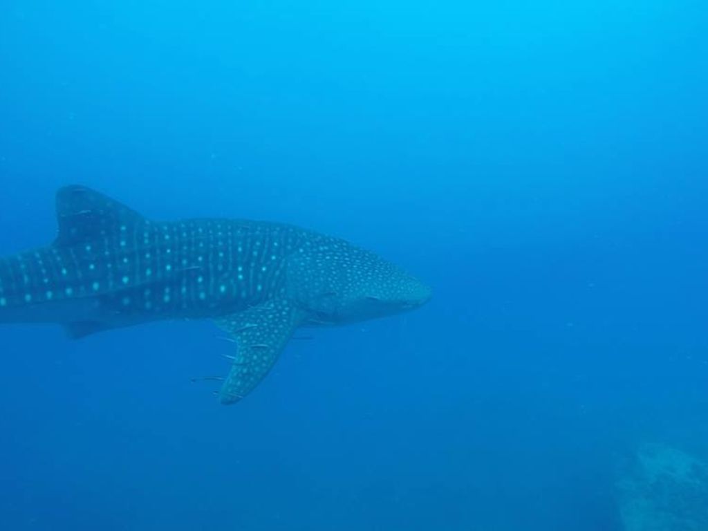 1fac5d63-a04e-4dde-b1c2-a1fa877e2296