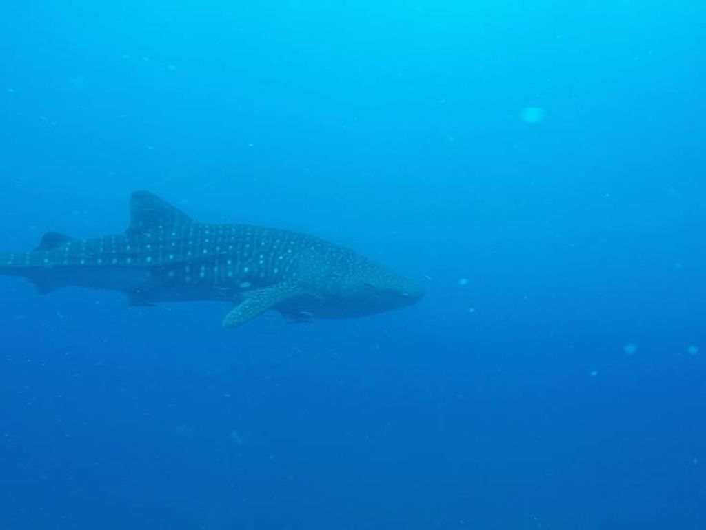 1fac5d63-a04e-4dde-b1c2-a1fa877e2296