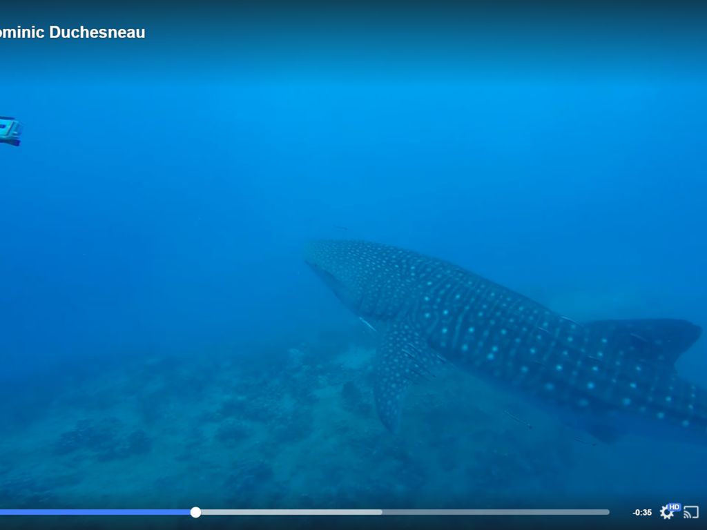 1fac5d63-a04e-4dde-b1c2-a1fa877e2296