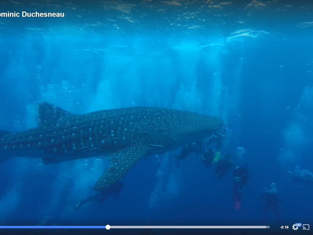 1fac5d63-a04e-4dde-b1c2-a1fa877e2296