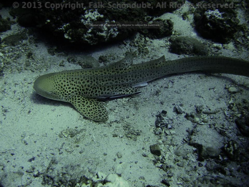 1247d3d5-0bdb-494b-9adf-8c4d36d425b1