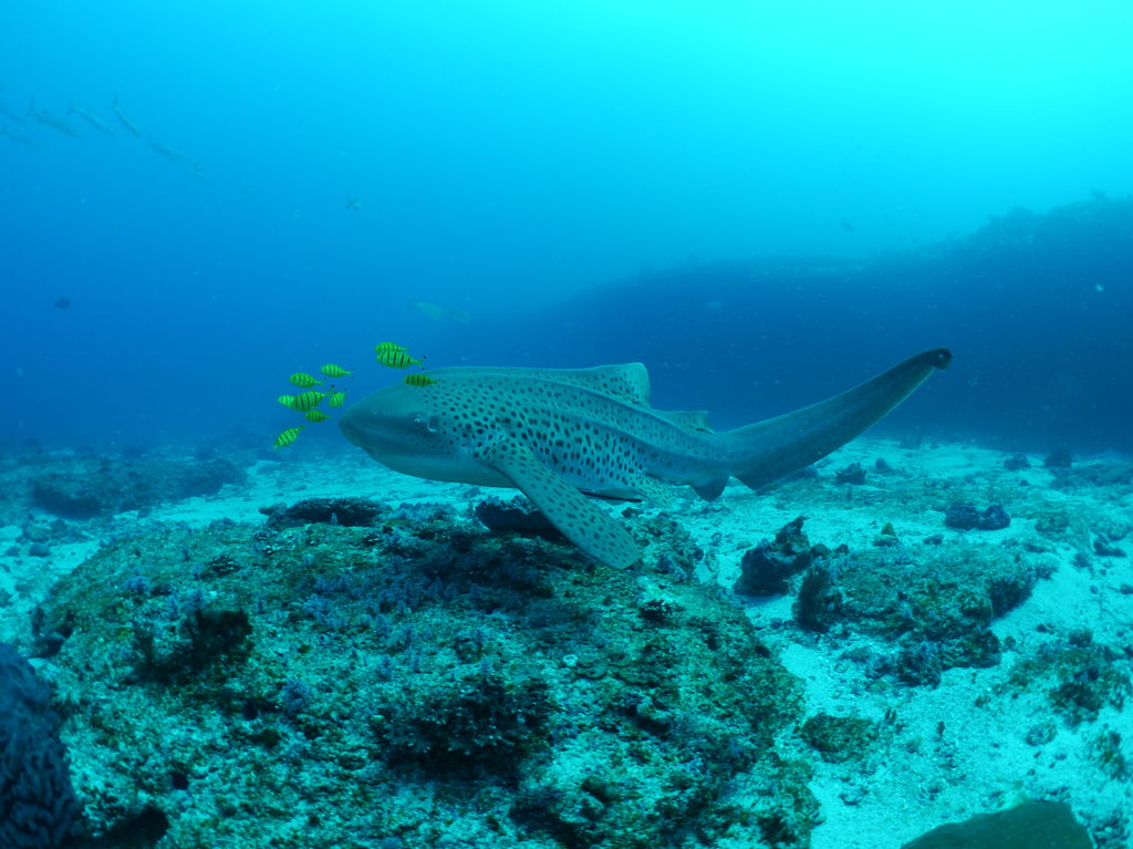 7c7d9bba-bc79-4879-a4dc-0e21813a2afb