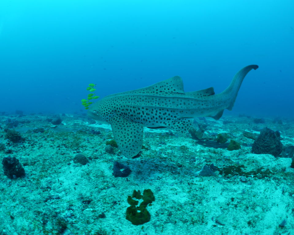 7c7d9bba-bc79-4879-a4dc-0e21813a2afb