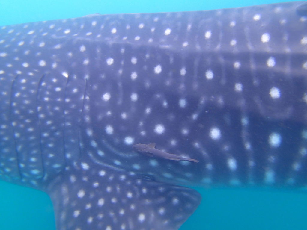 8410ae64-5b40-47ae-916f-a71f34236492