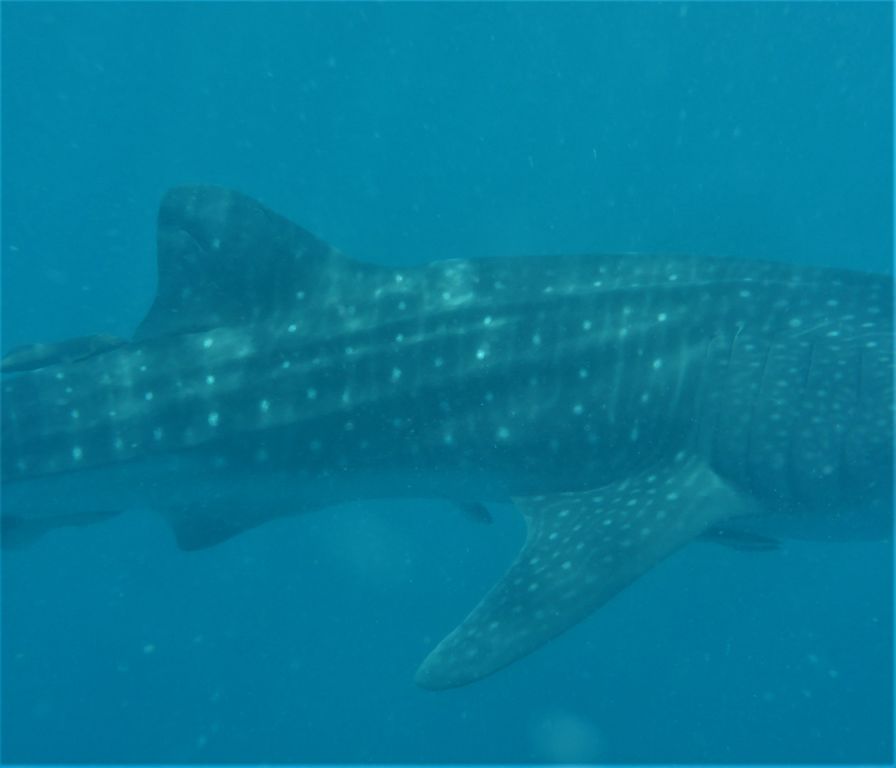 014f30fb-15dc-4730-b5aa-3ed92a85e544