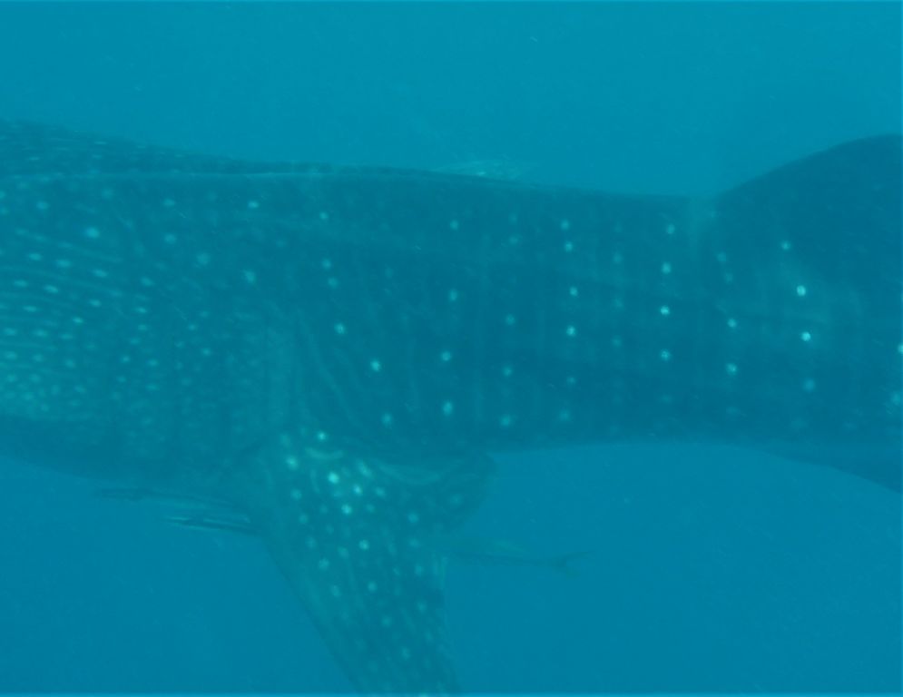 014f30fb-15dc-4730-b5aa-3ed92a85e544