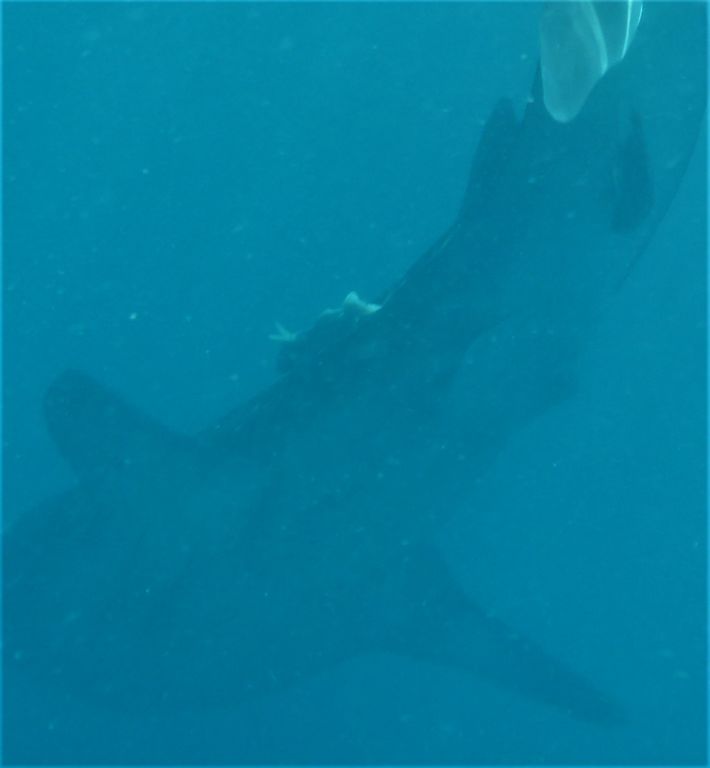 014f30fb-15dc-4730-b5aa-3ed92a85e544