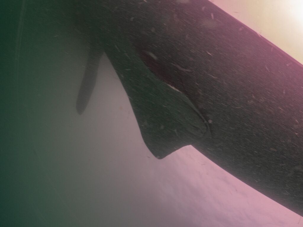 76615c59-3f7e-4f9e-b851-a414ff3e3f74