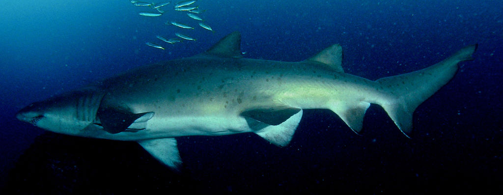 da65837d-9e58-48cb-8798-1e929dc6b084