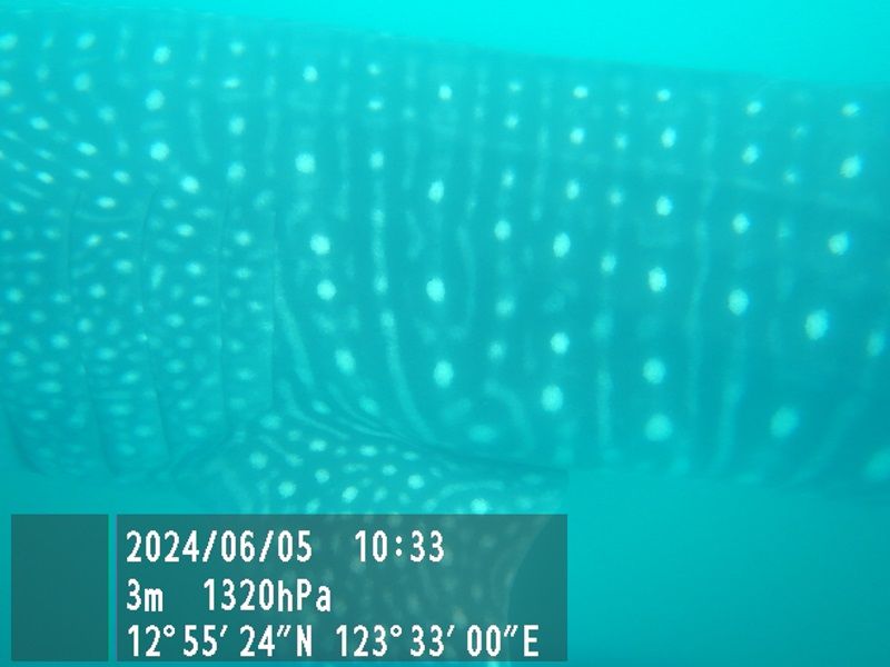 e9556ceb-57b6-4d0c-a9c6-9b6391a33863