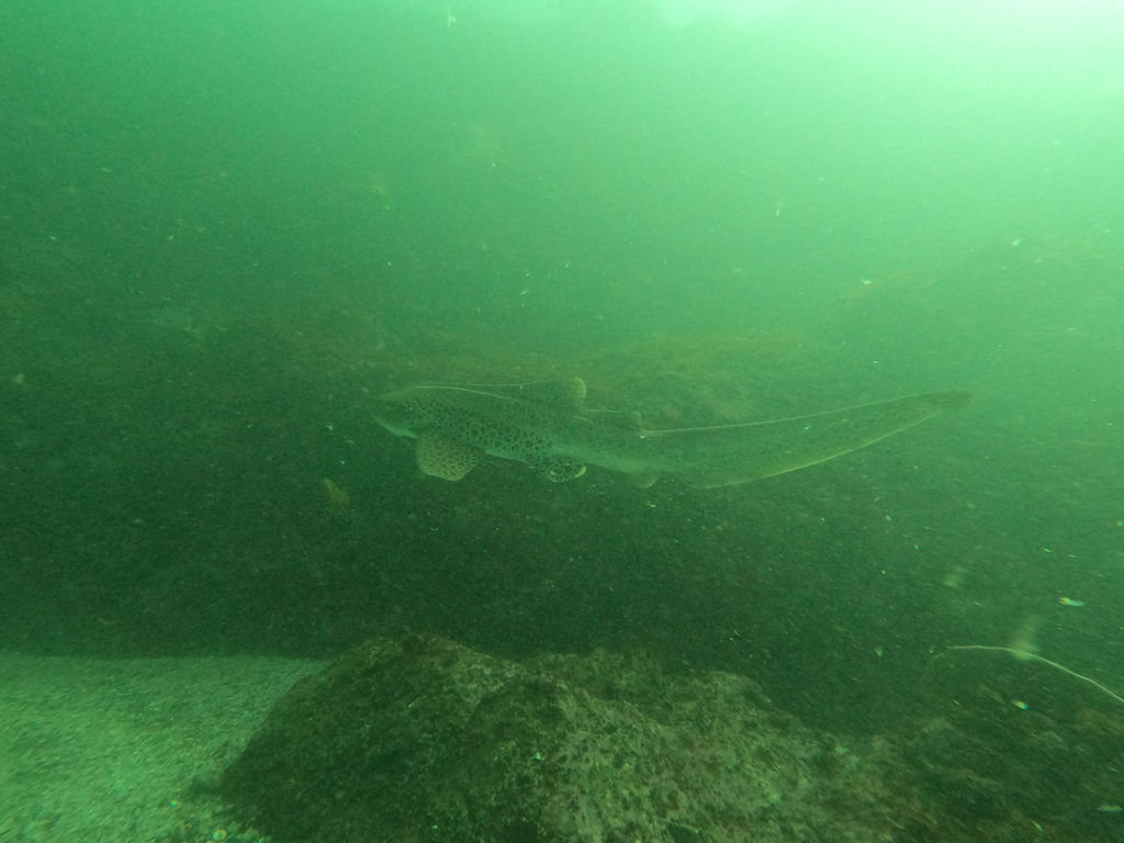 5c62f501-6f90-4467-8197-42c886d9c5a0