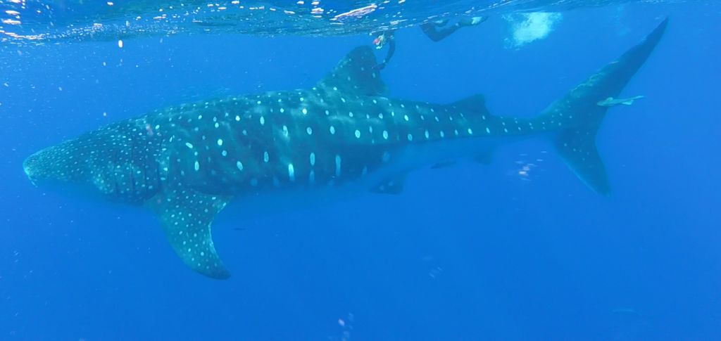 3a9f321e-7f03-49fd-a22f-a0fda404fcbf