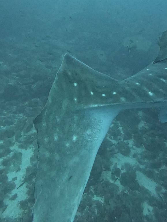 3d5e9027-1e36-46a1-a15e-a9914bf9a612