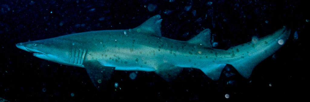 fa8a9e98-811f-4596-afea-13d0e32dc82e