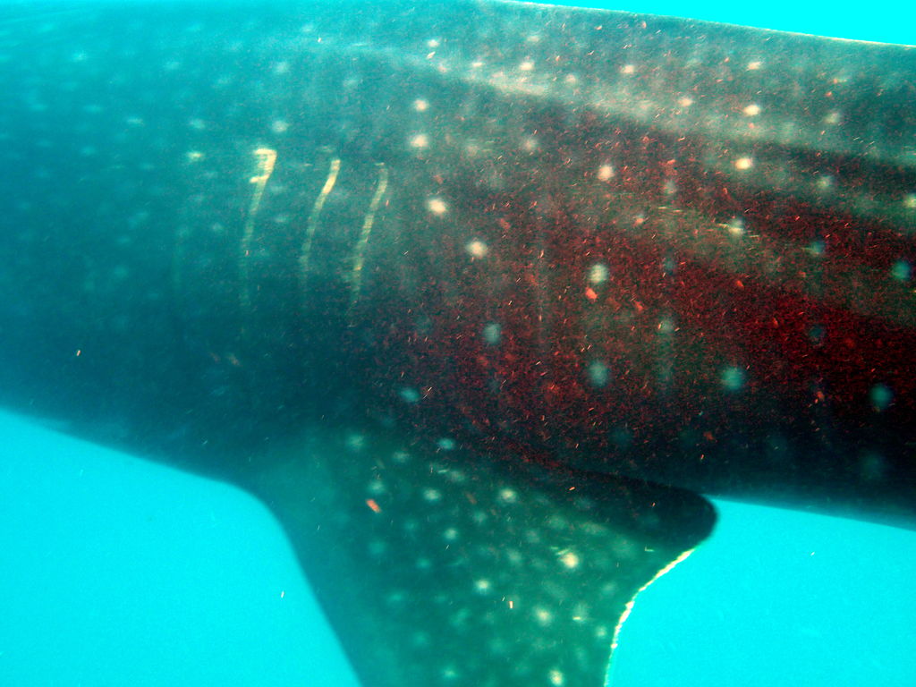 3d67ac46-07cf-490b-8182-8e7a30c375a0