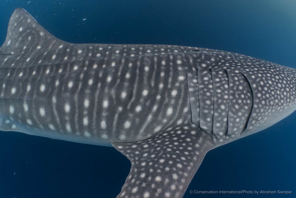 34c0f820-f3b3-4623-a5ae-0b29fda19363