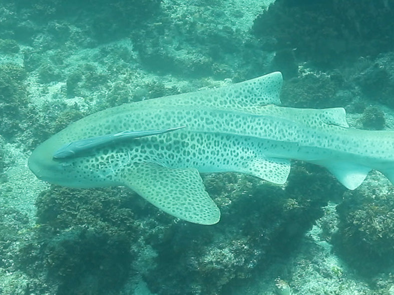 57d96075-b132-4860-a92f-5491cbb1c390