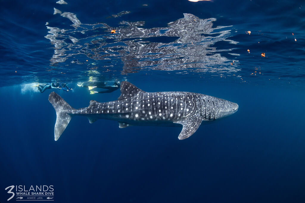 9e6f2d6e-3083-4763-8100-b3b2648e57c9