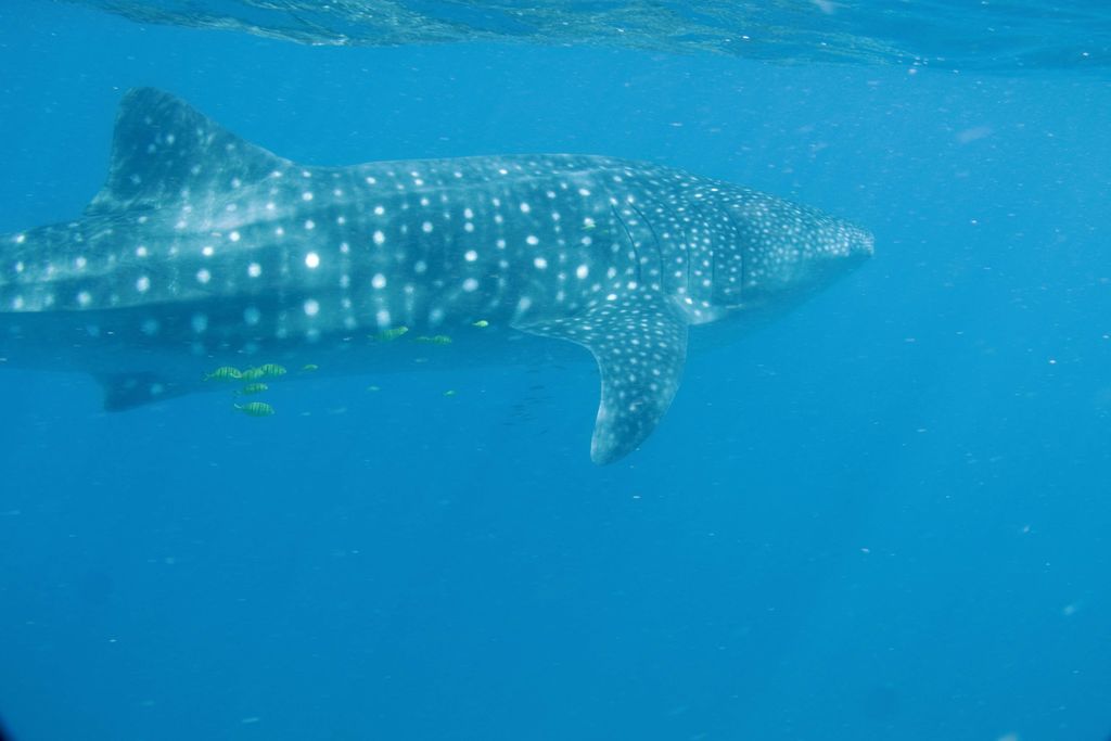 5d572340-7f69-49fb-bc4f-eb66ccf7da5f