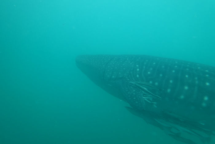 5369baff-540c-4a73-aa70-8ac248c3125e