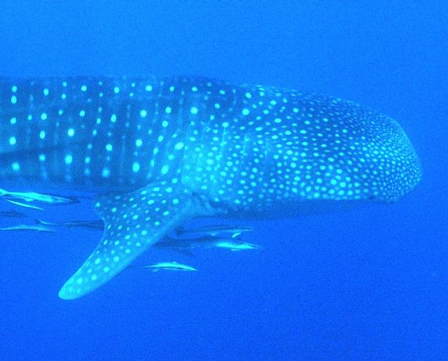 372ed779-03fe-44c1-95ec-a9266f4fb523