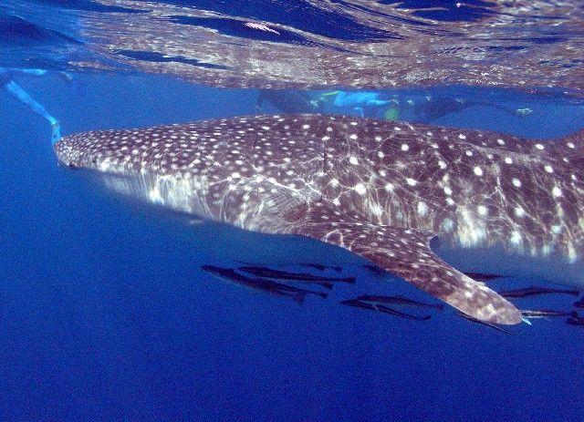 372ed779-03fe-44c1-95ec-a9266f4fb523