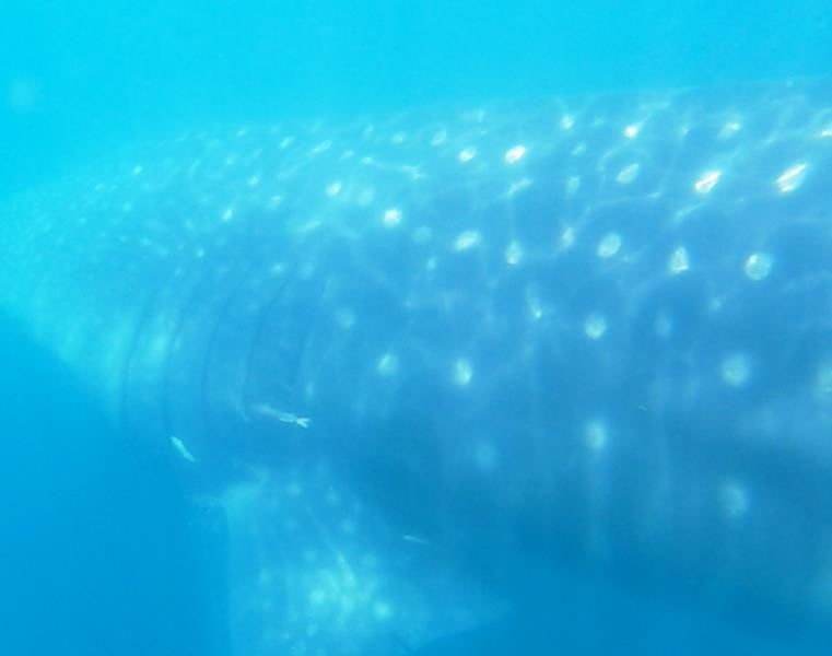 861ce6f5-85a5-415b-9559-0fd799c74660