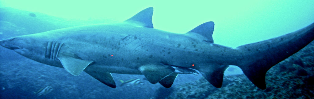 39d3234c-5a58-448c-9640-24471a8b7356