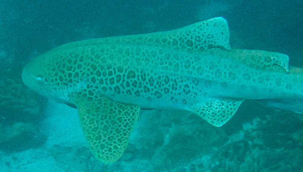 fc7b90ce-af53-49f5-ae88-133f5fc0a6a8