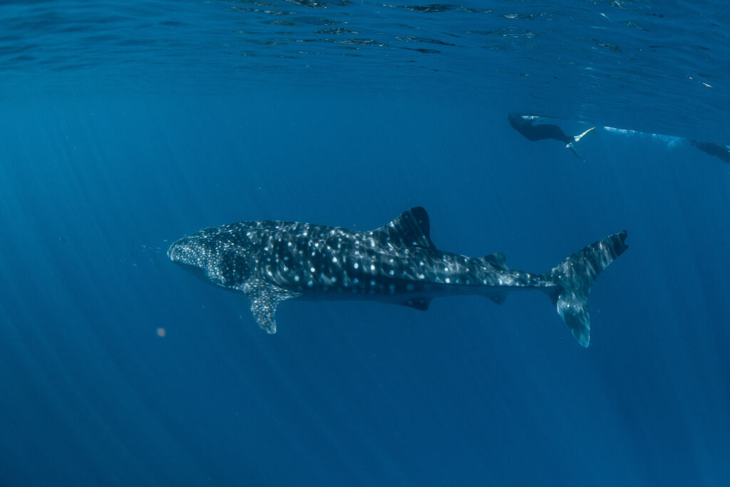 1bf558e1-4672-4243-a6c1-7a4710bc426d