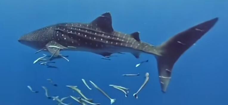 3ee60305-84bc-4b13-adf3-e474292e3ed2