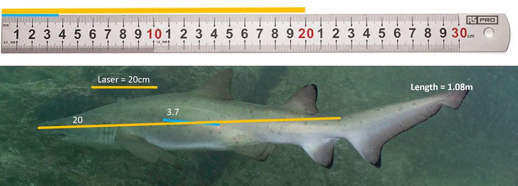 1bfccfbe-b46c-4ae7-a50b-4b15747b076c