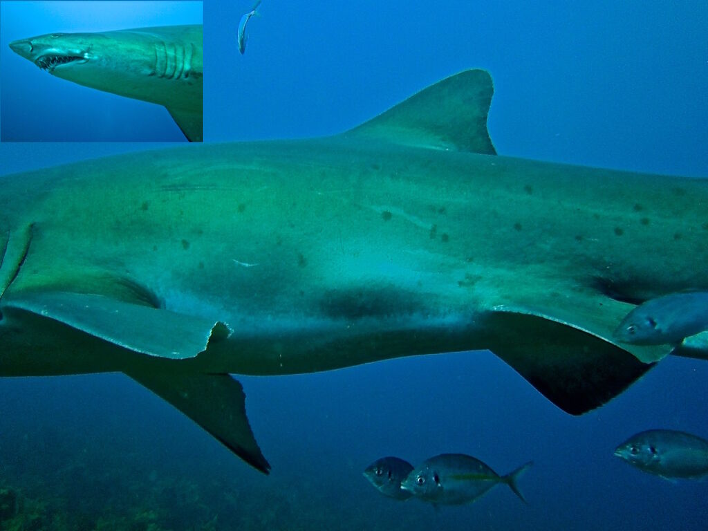 ac3bbf43-49e7-4975-a540-b23d210c315f