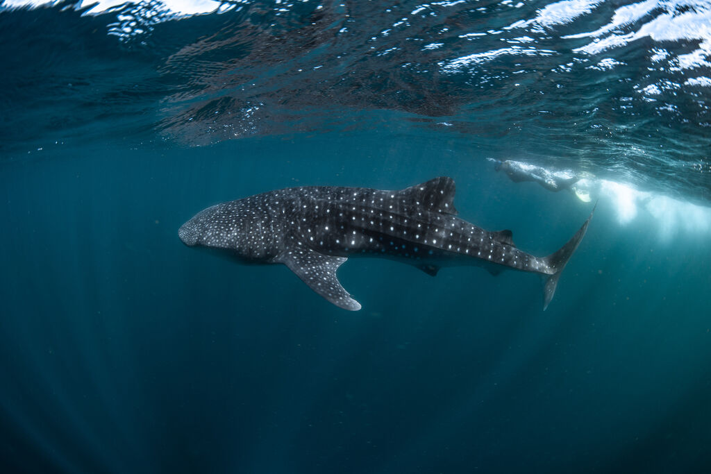 f15ff2f7-6cb2-4113-bf83-be26fc2304a0