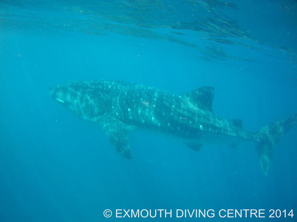 c363fe16-c7b4-4438-818d-21503649fbb0