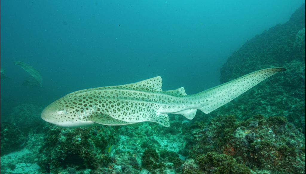 11f62a93-99a3-4254-b373-e55677bc372f