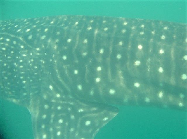 1aba3b82-b298-45b0-bf98-a54330e3c643