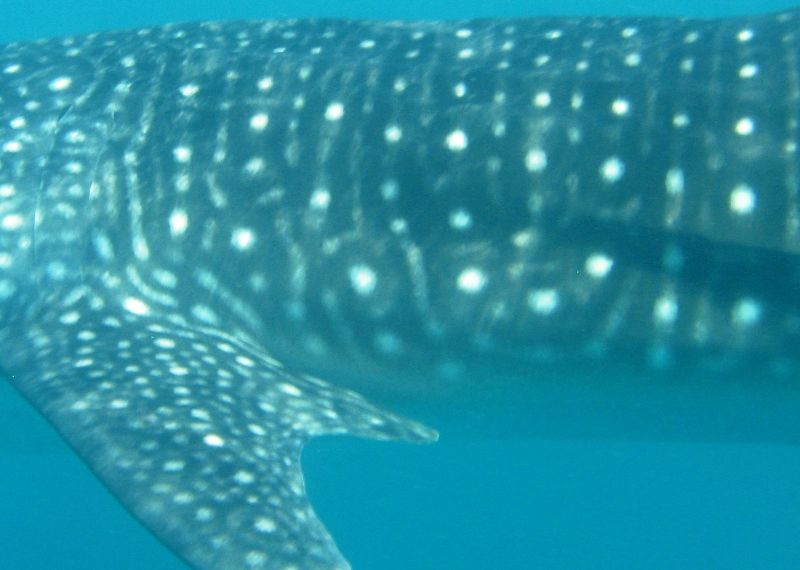 ff529d50-be77-4e65-9ed4-5c96898cd4ca