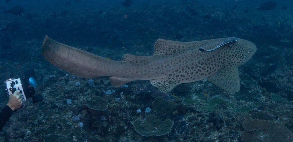 46f66e85-4ad7-4868-8658-d98ba2b02199