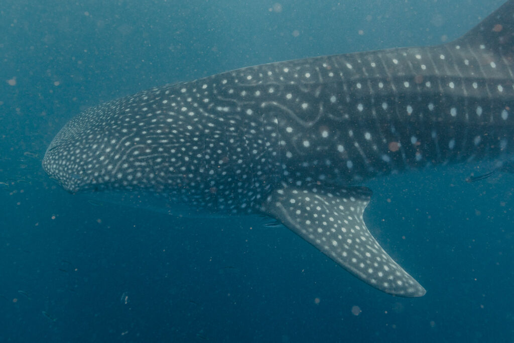 c72ca4da-5ccc-4be2-a1c7-4e1a7532884a