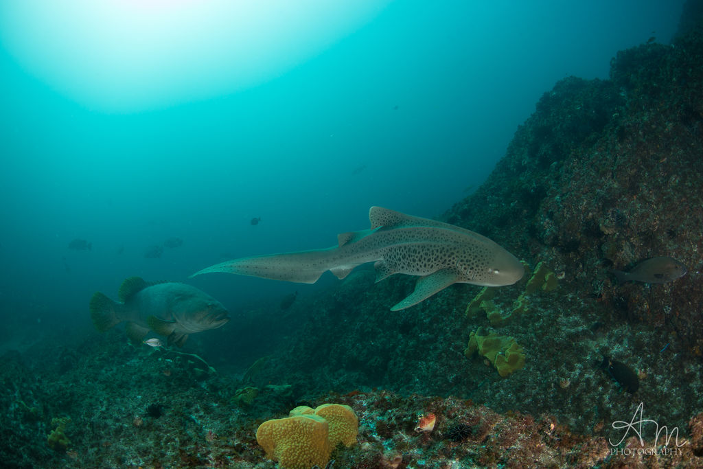 2fb72a87-0f8b-406d-9ade-bf1d2fa8f619