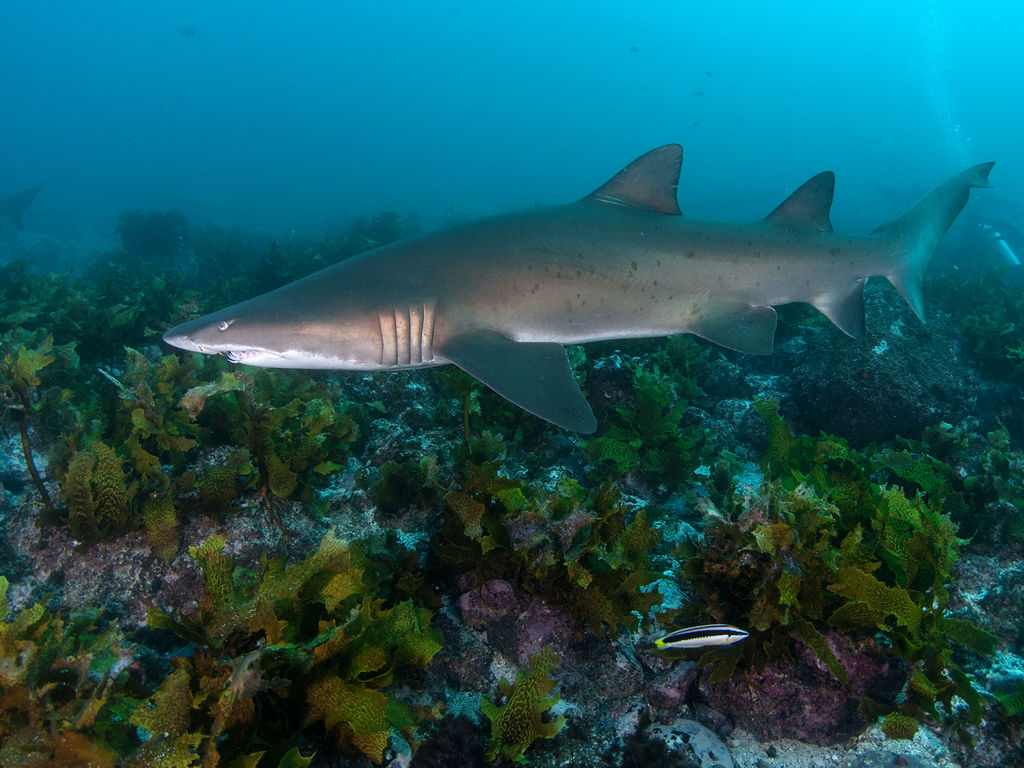 6b173300-0566-4dcd-9607-578a976ad350