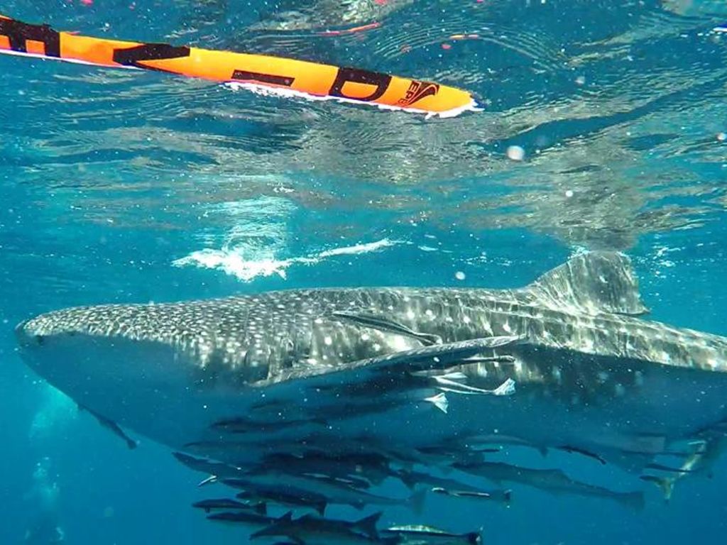 2935b34d-12ac-410b-a2f4-a232cabfc477