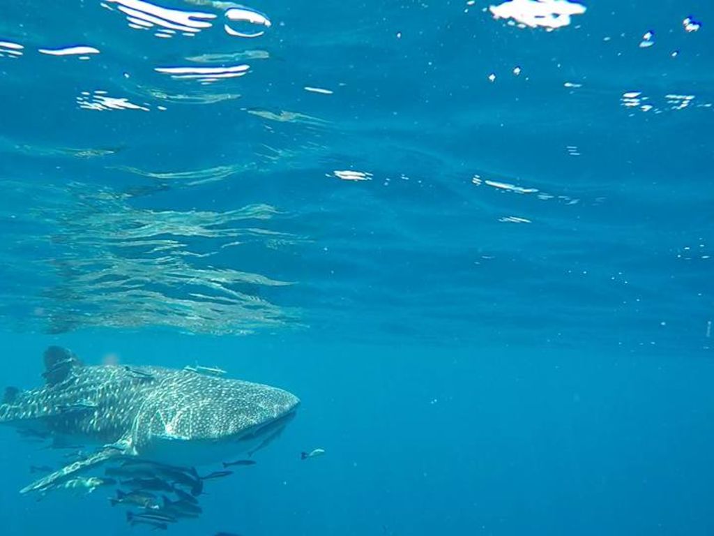 2935b34d-12ac-410b-a2f4-a232cabfc477