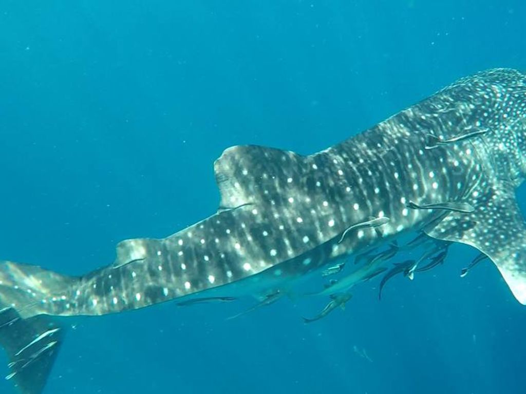 2935b34d-12ac-410b-a2f4-a232cabfc477