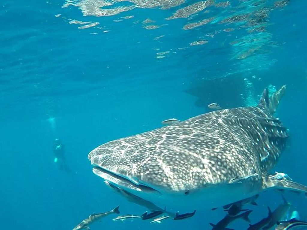 2935b34d-12ac-410b-a2f4-a232cabfc477