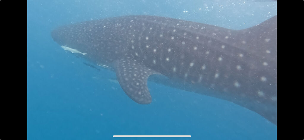 c9884bfd-b59a-4906-99b3-95b46664bca2